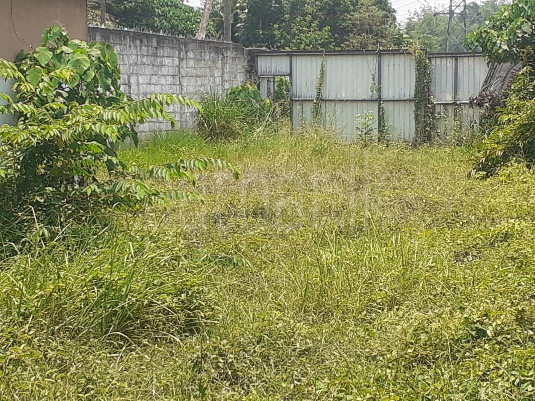 Commercial Land for Sale in Ragama