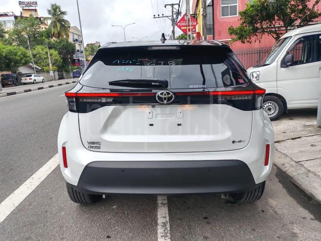 Advertisement image 6