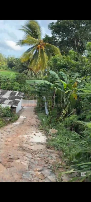 Residential Land for Sale in Galle