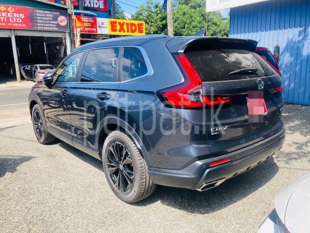 Advertisement image 4