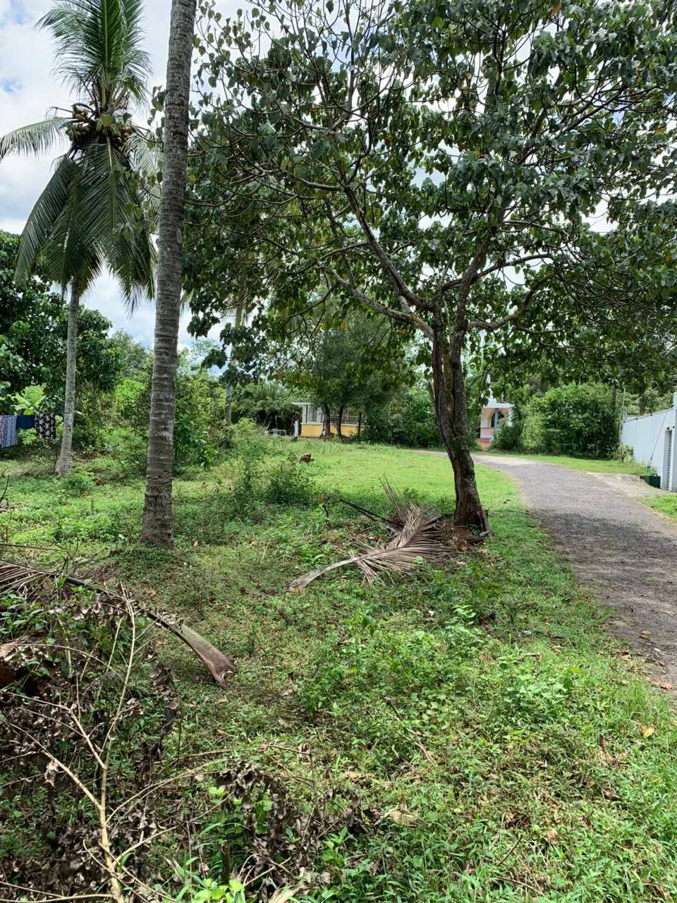 Residential Land for Sale in Homagama