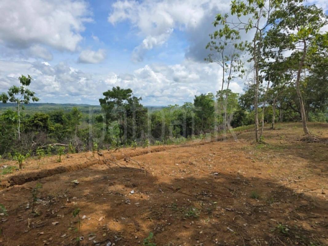 Commercial Land for Sale in Weligama