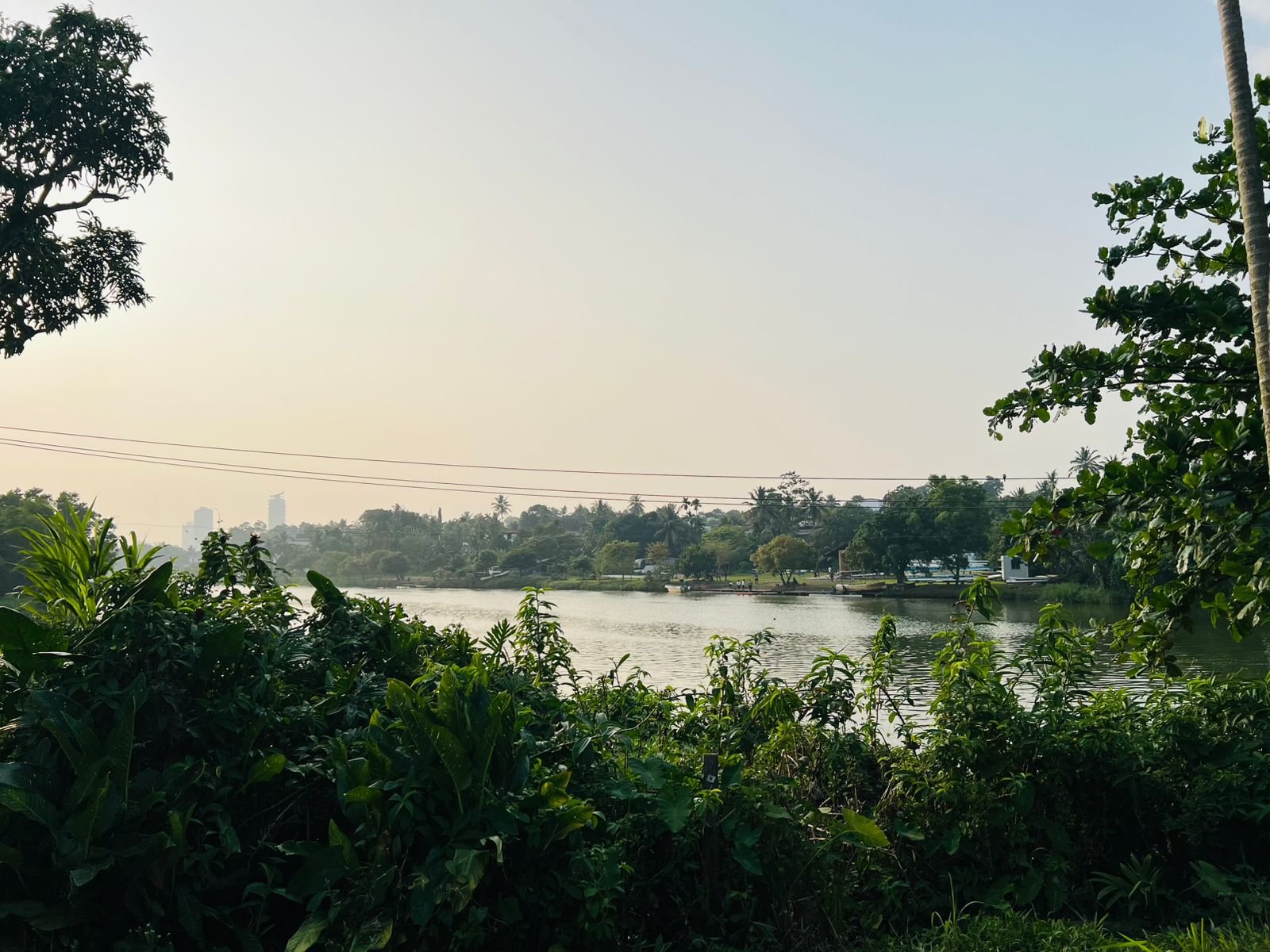 Residential Land for Sale in Battaramulla