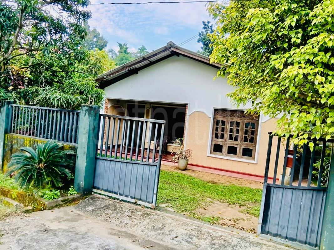 House for Sale in Hingurakgoda ads-image-1