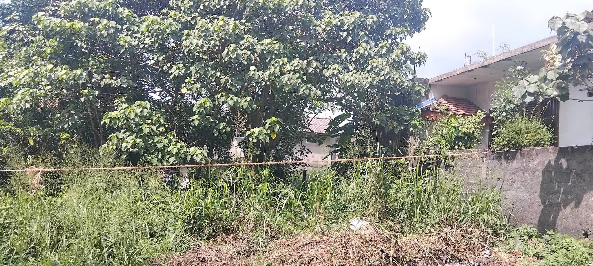 Commercial Land for Sale in Gonapola Junction