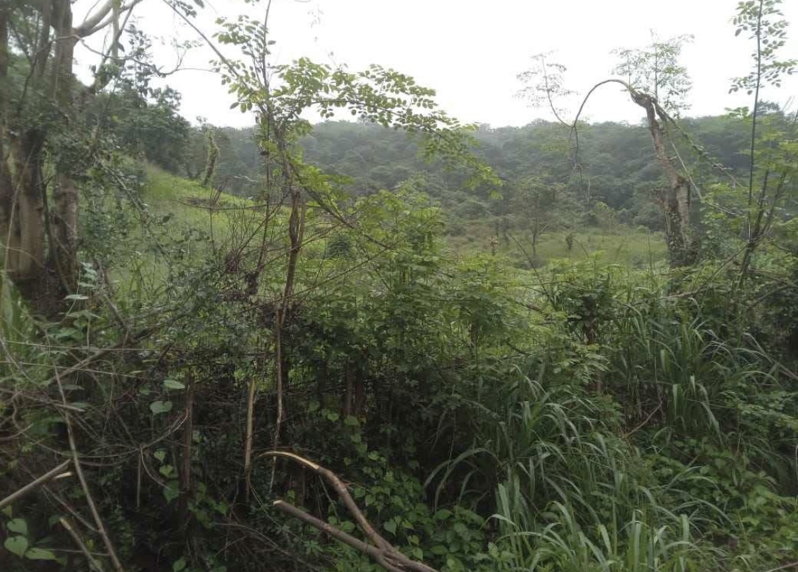 Commercial Land for Sale in Kundasale