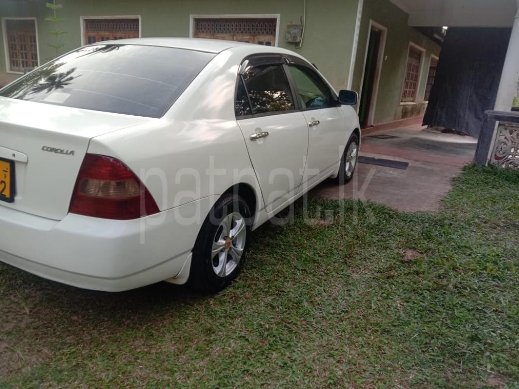 Toyota Corolla 2001 - Used Car sale in Sri Lanka - patpat.lk