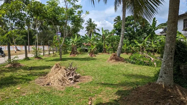 Commercial Land for Sale in Yakkala