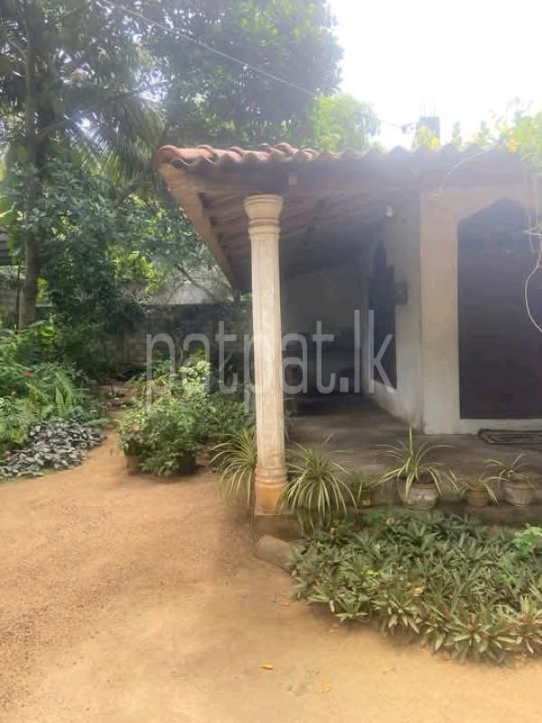 Residential Land for Sale in Anuradhapura
