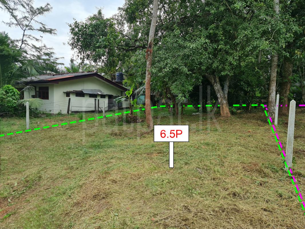 Advertisement image 6