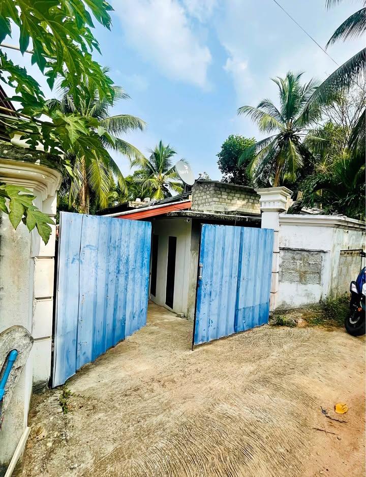 House for Sale in Kadawatha ads-image-1