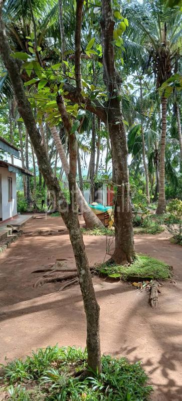 Residential Land for Sale in Kataragama