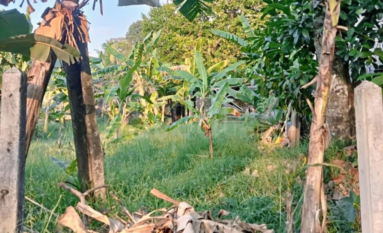 Residential Land for Sale in Kottawa ads-image-1