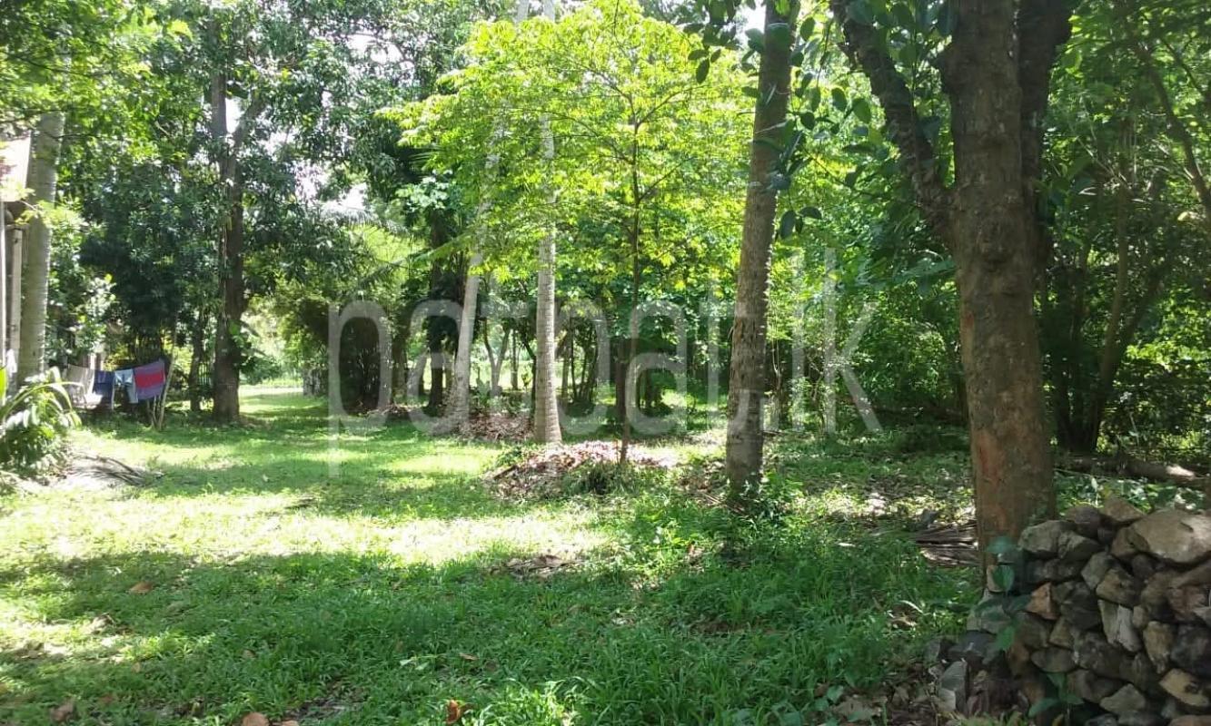 Agricultural Land for Sale in Wariyapola