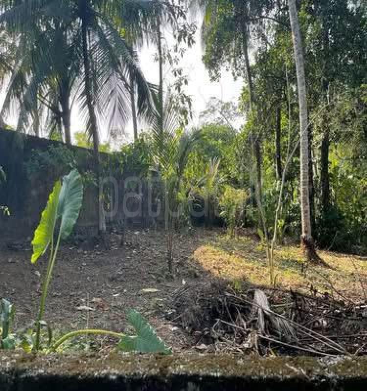Residential Land for Sale in Hanwella