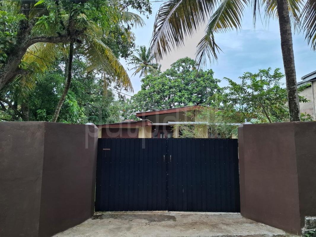 House for Rent in Moratuwa