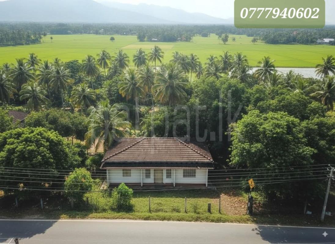 premium-listing-image