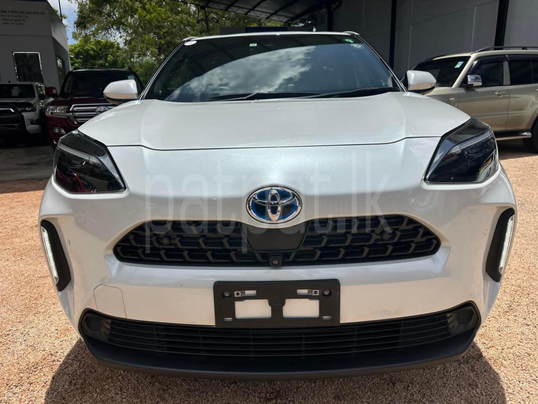 Advertisement image 3