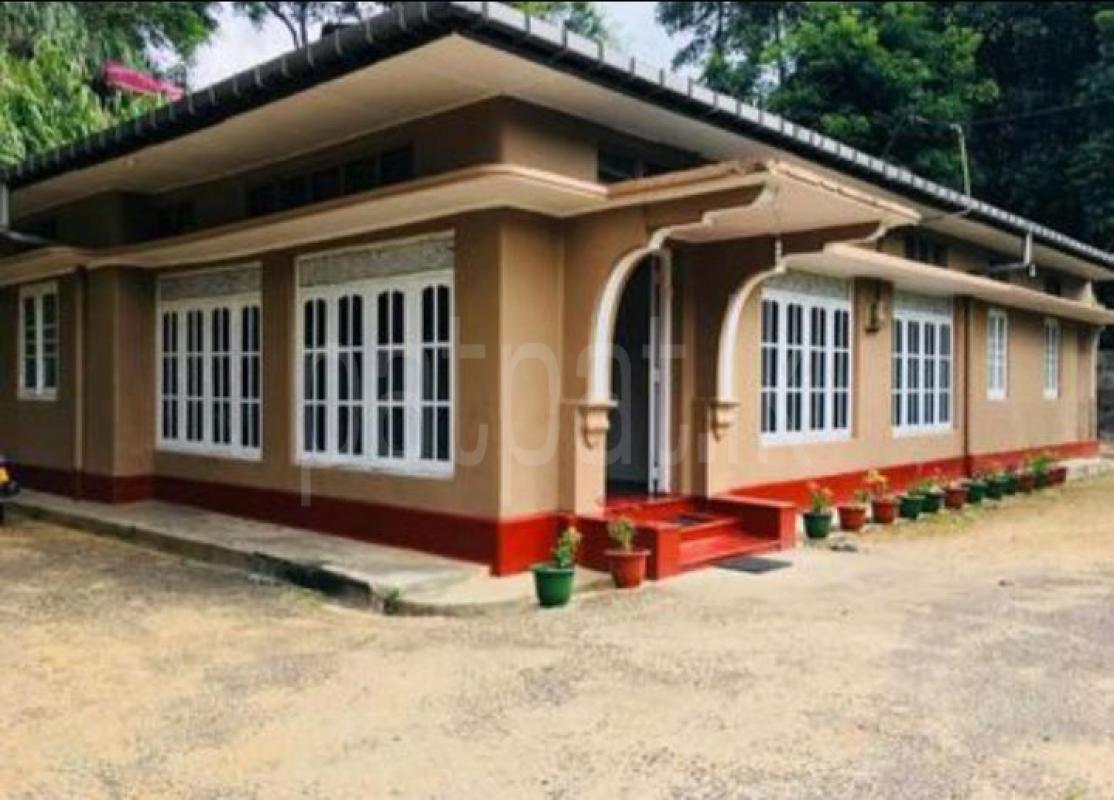 premium-listing-image