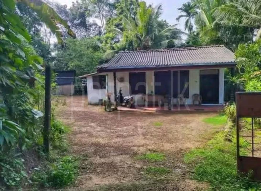 House for Sale in Wathurugama ads-image-1