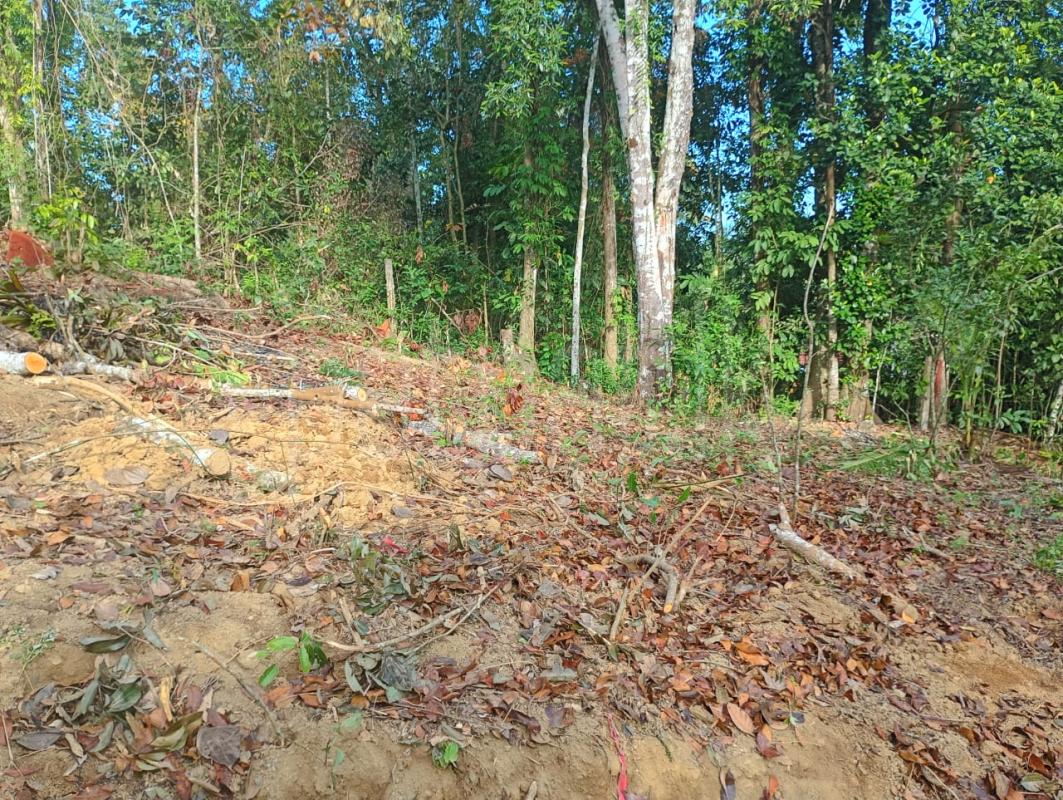 Residential Land for Sale in Hakmana