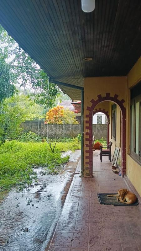 Agricultural Land for Sale in Dehiwala ads-image-1