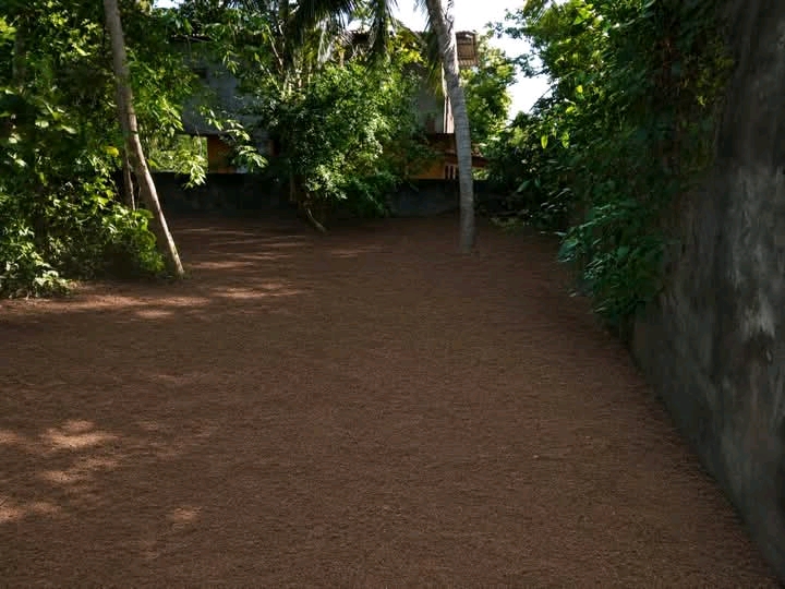 Commercial Land for Sale in Wadduwa