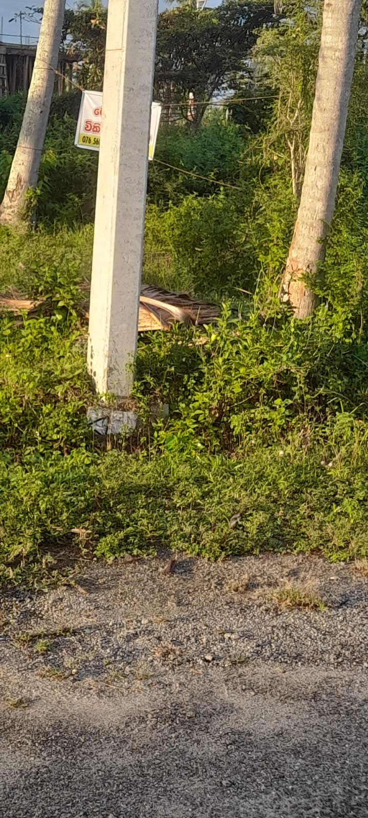 Commercial Land for Sale in Narammala