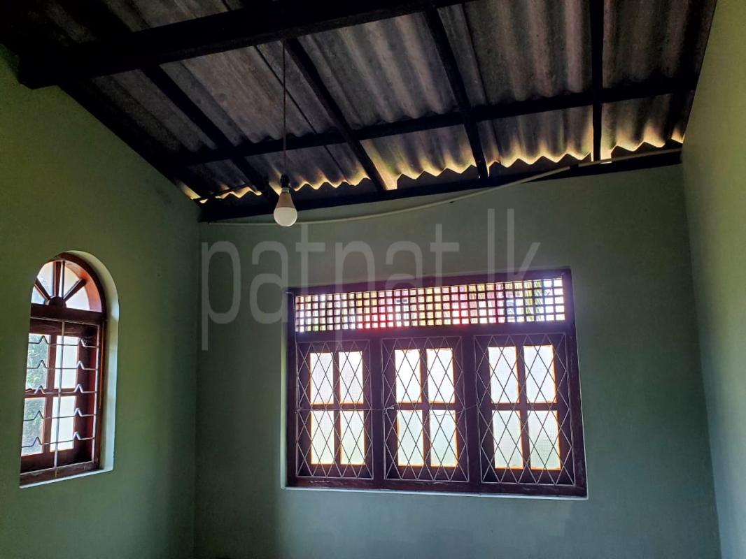 House for Rent in Ganemulla