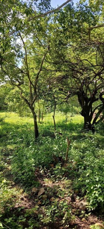 Residential Land for Sale in Kataragama