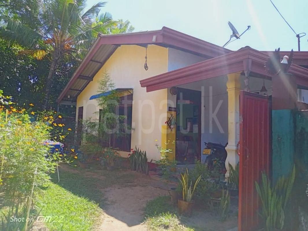 House for Sale in Homagama ads-image-1