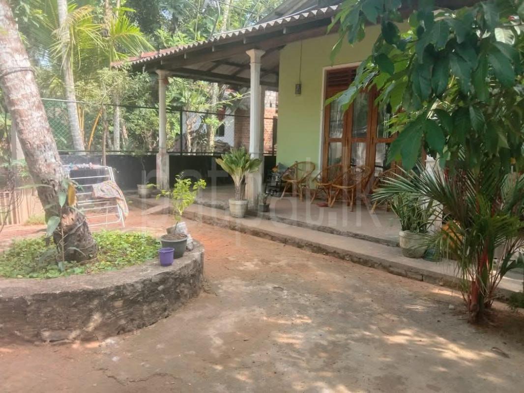 House for Sale in Kirindiwela ads-image-1