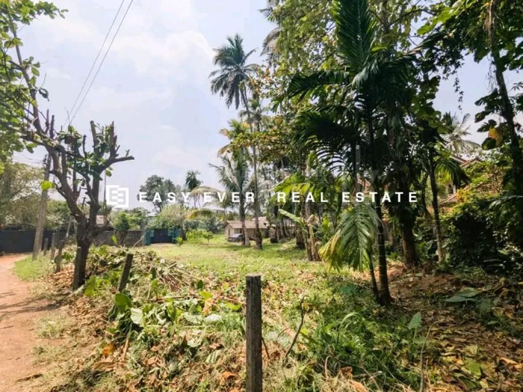 Commercial Land for Sale in Minuwangoda