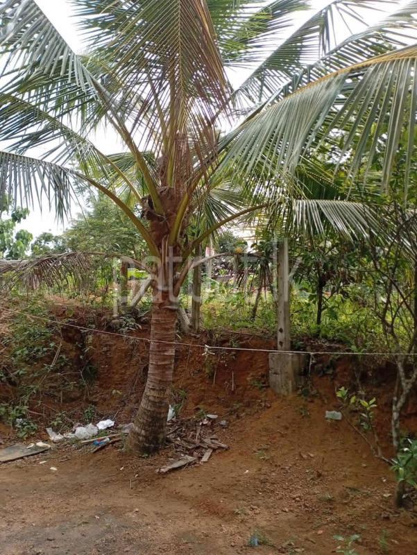 House for Sale in Kumbuka