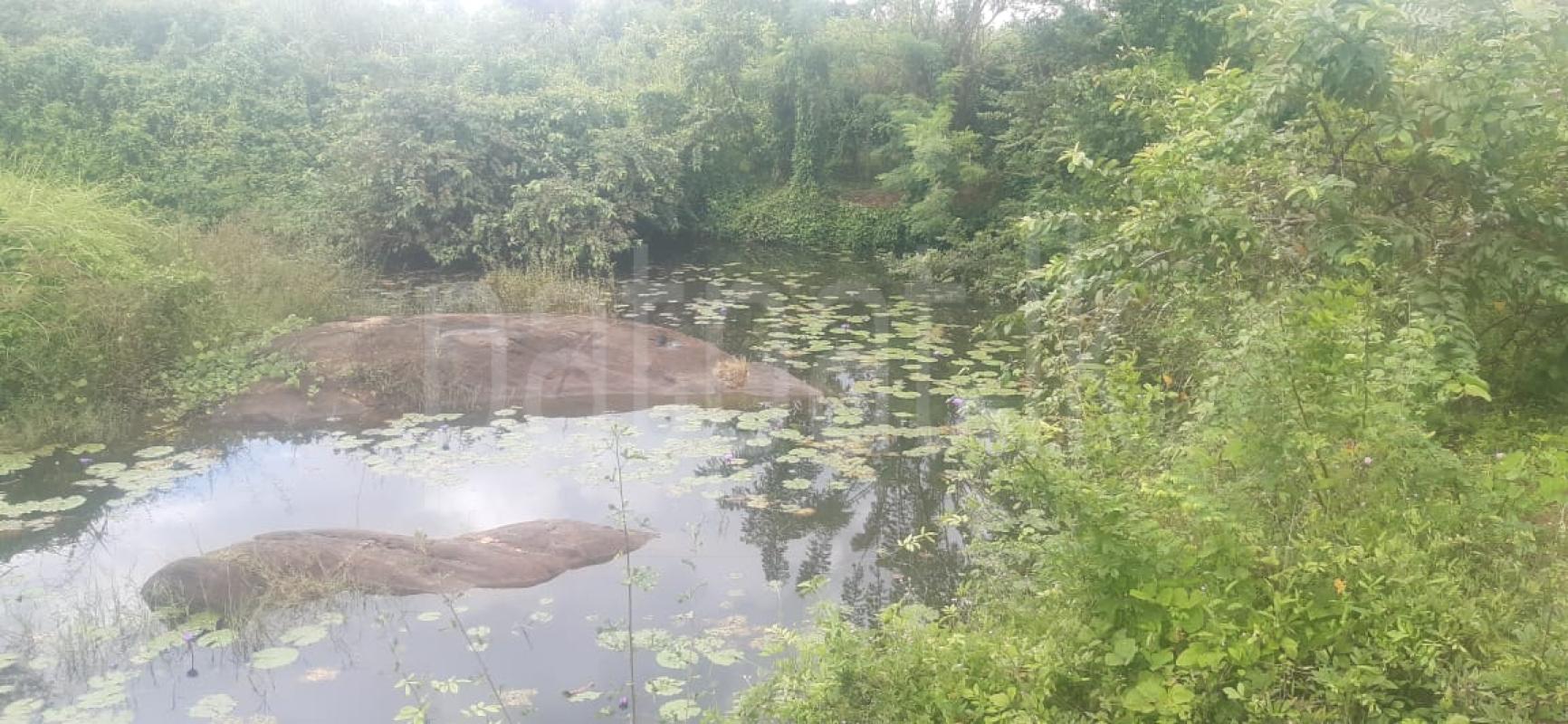 Commercial Land for Sale in Ambepussa