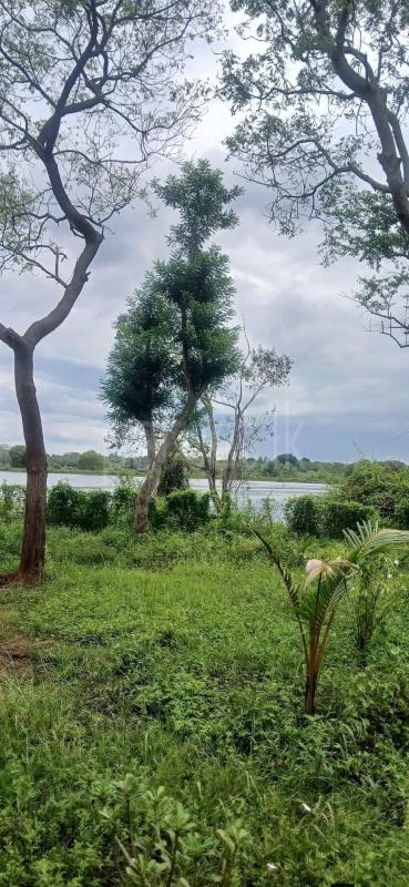Residential Land for Sale in Sella Kataragama