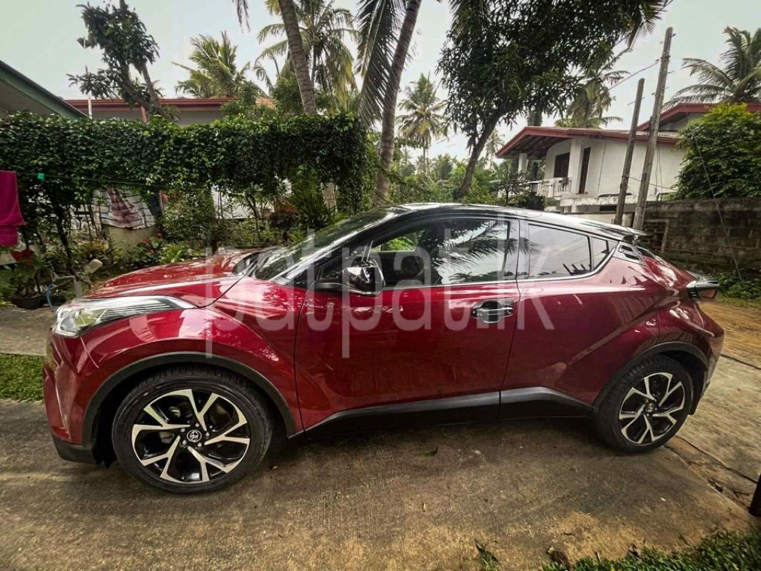 Advertisement image 2