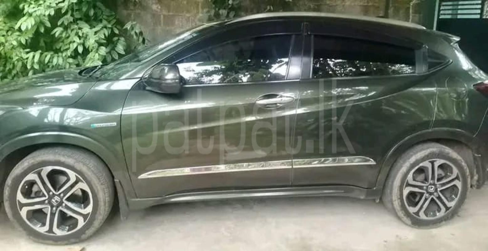 Advertisement image 5