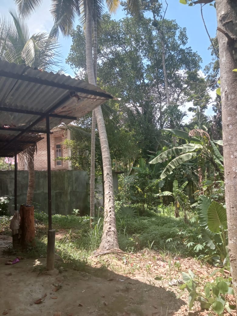 Residential Land for Sale in Medawala Harispattuwa ads-image-1