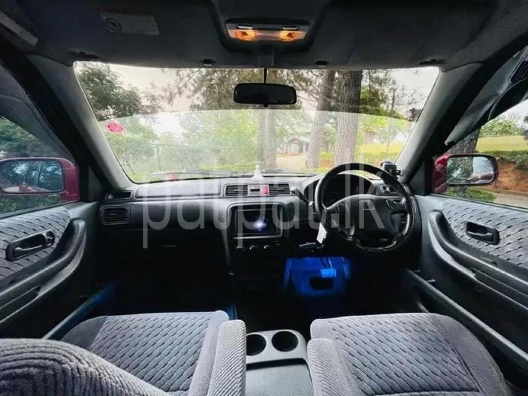 Advertisement image 4