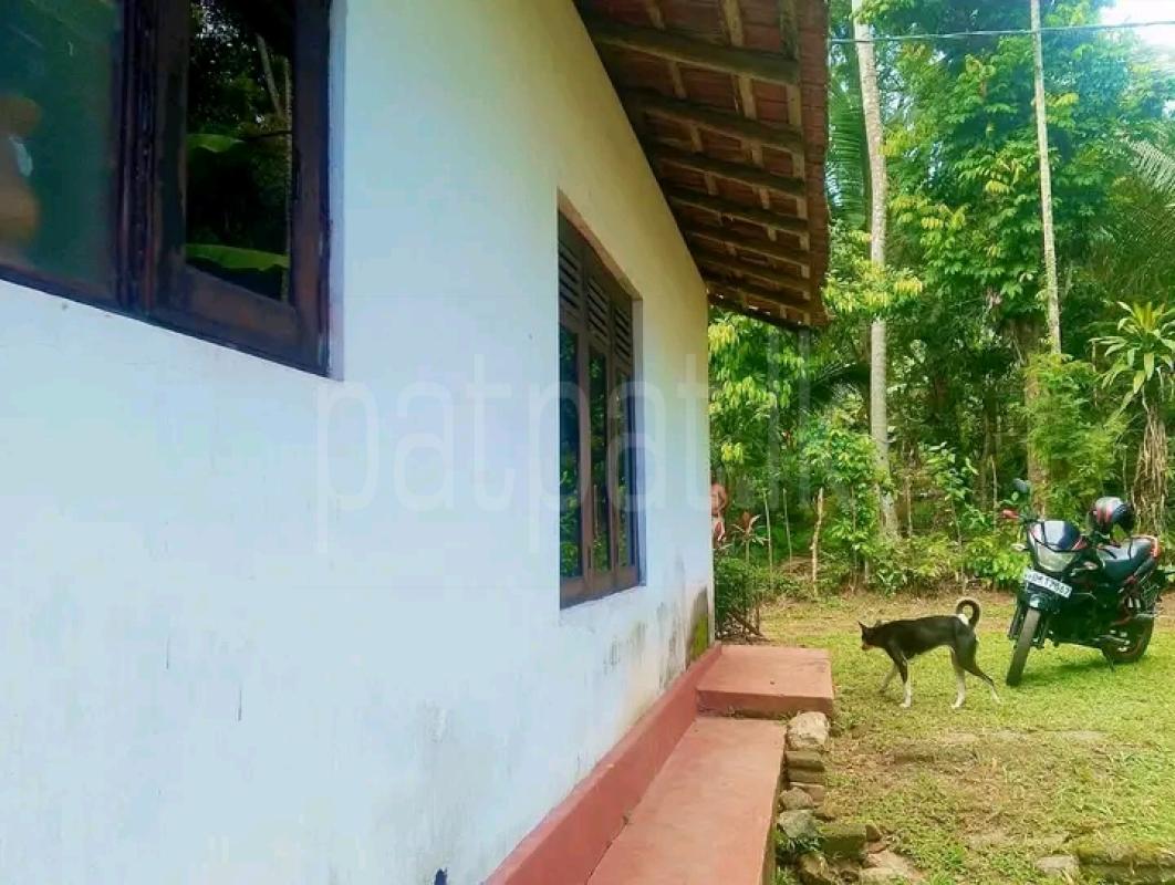 House for Sale in Panadura