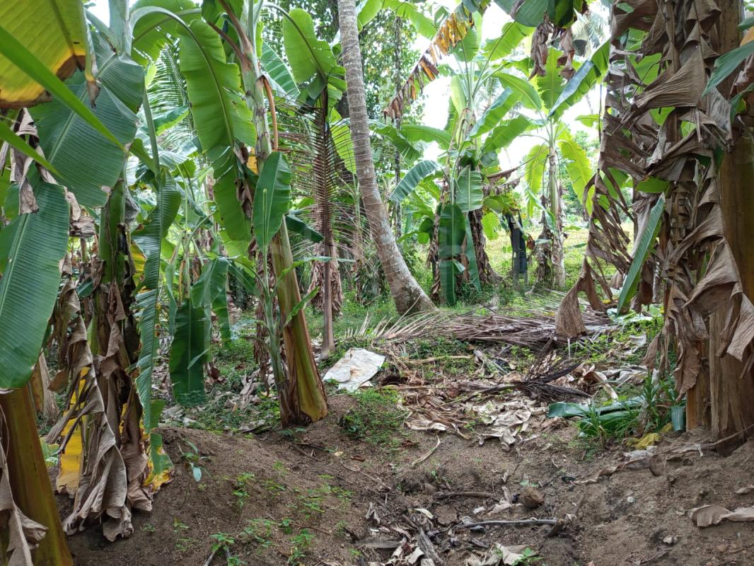 Residential Land for Sale in Horana