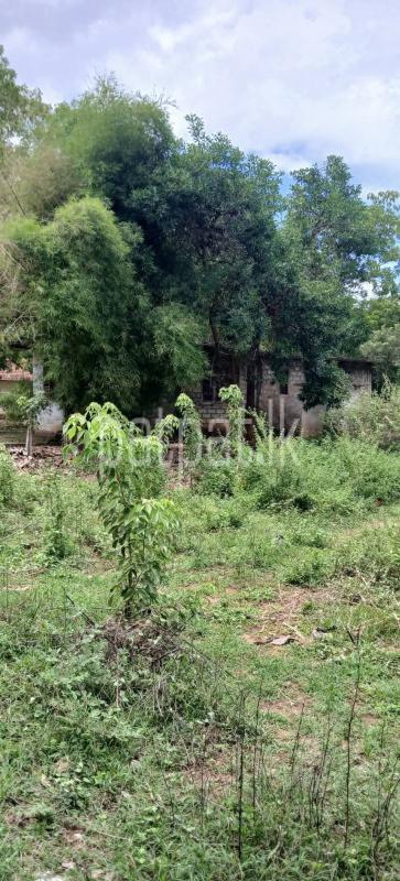 Residential Land for Sale in Kataragama