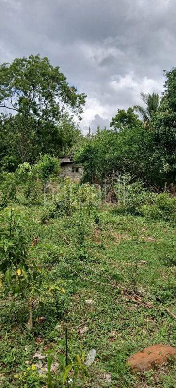 Residential Land for Sale in Kataragama