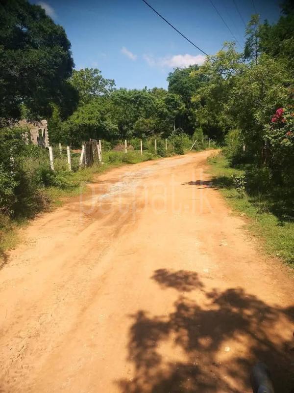 Residential Land for Sale in Kataragama