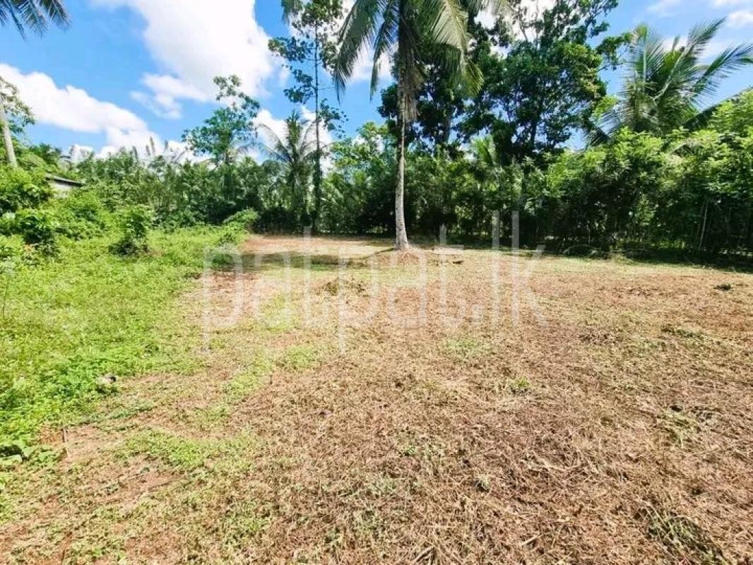 Advertisement image 1