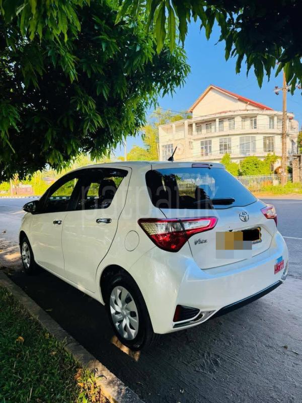 Toyota Vitz 2019 - භාවිතා කරන ලද කාර් sale in Sri Lanka - patpat.lk