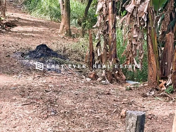 Commercial Land for Sale in Minuwangoda