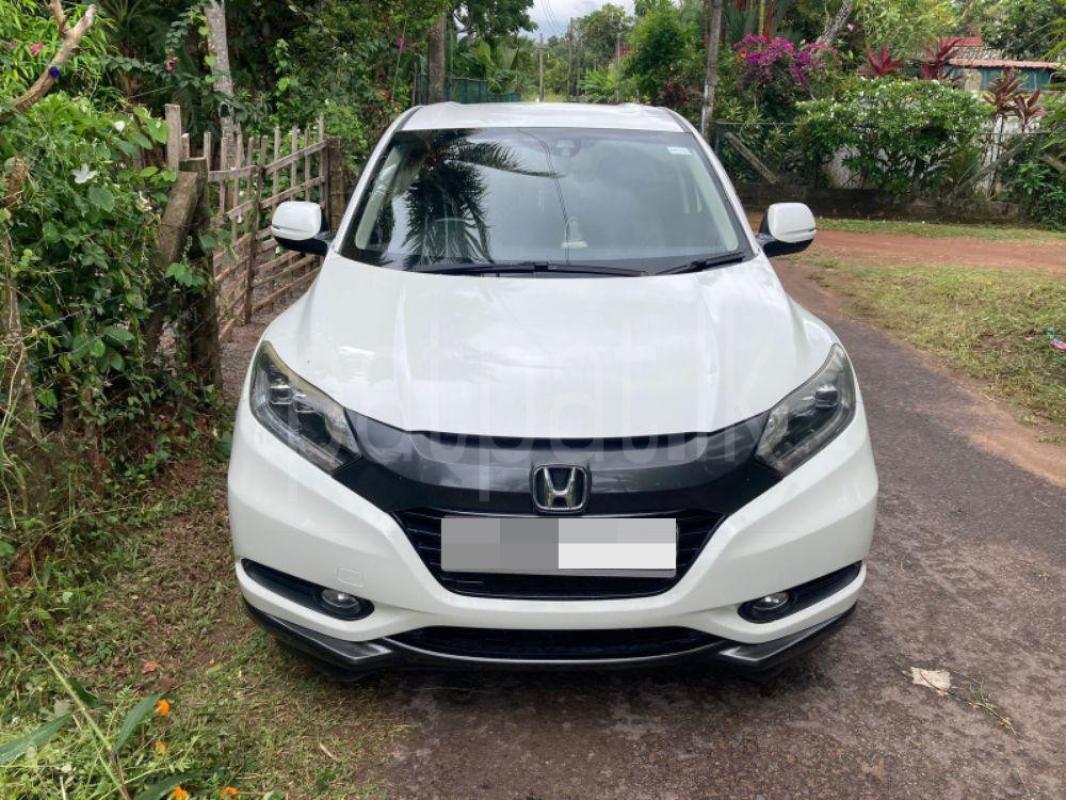 Advertisement image 1