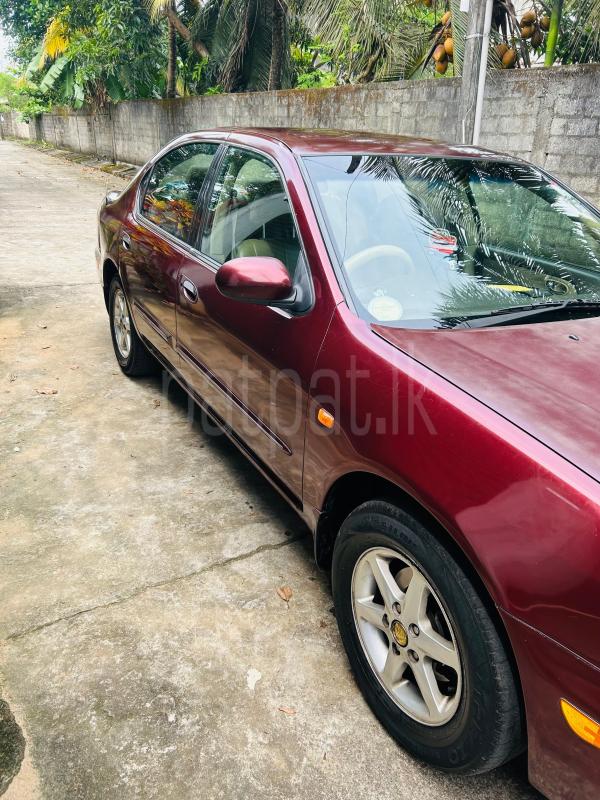 Advertisement image 3